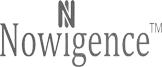 Nowigence logo